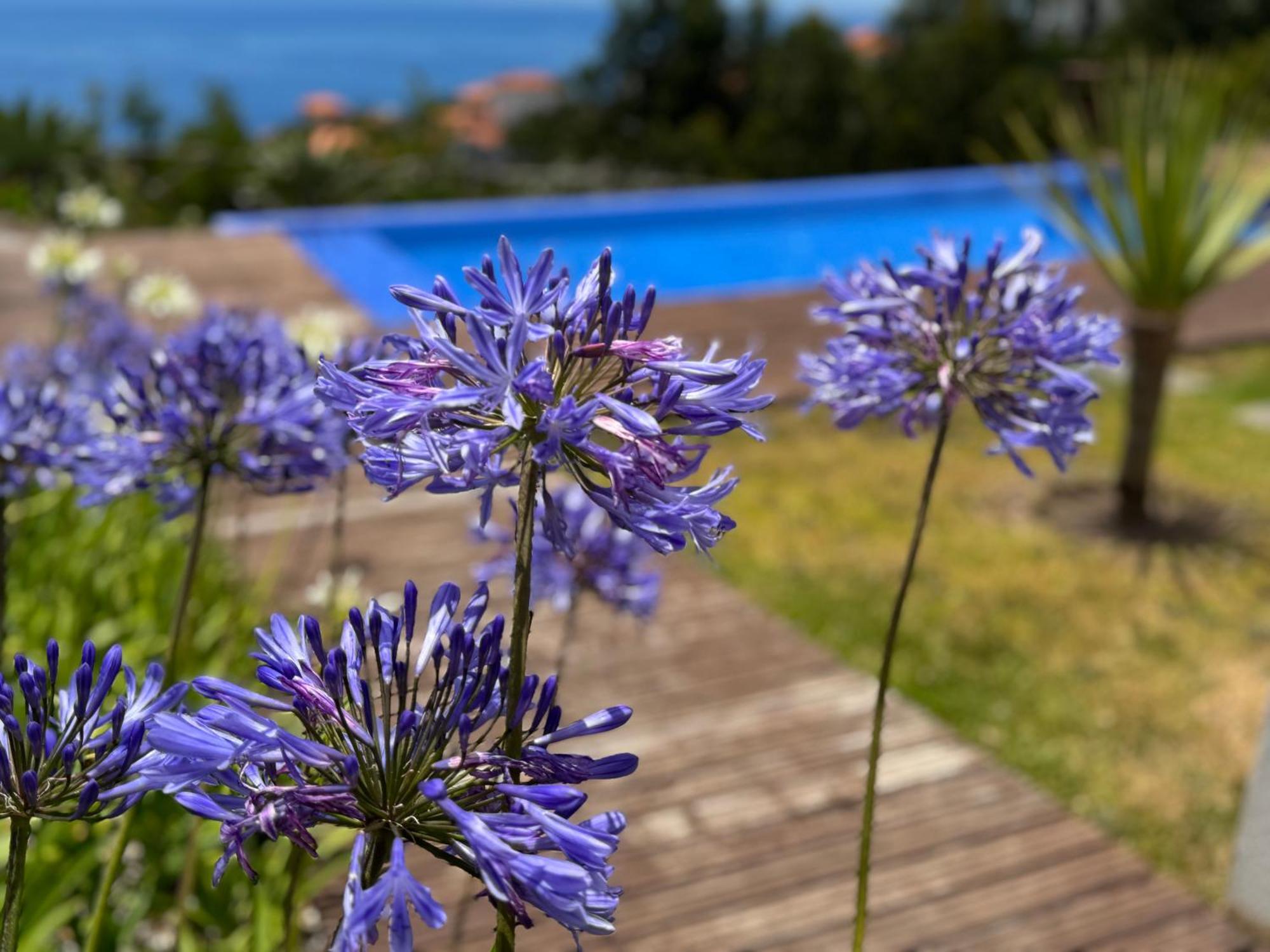 Modular Villa Calheta  Buitenkant foto
